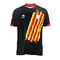 Selección Cataluña 2011/2012