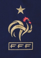Camiseta de la Selección de Francia Mundial Sudáfrica 2010