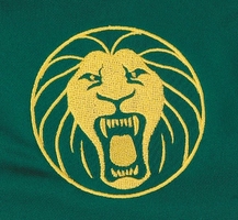 Camiseta de la Seleccion de Camerún Mundial Sudáfrica 2010